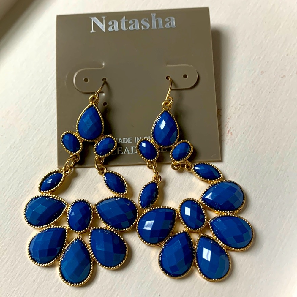 Blue Dangle Earrings (NWT)